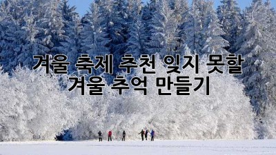 겨울 축제 추천: 잊지 못할 겨울 추억 만들기 ✨